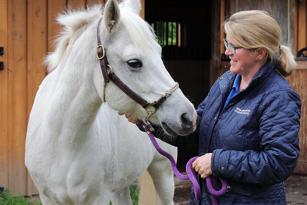White horse with blonde woman