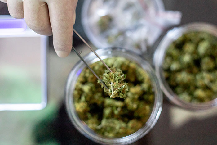 Stock image of medical cannabis