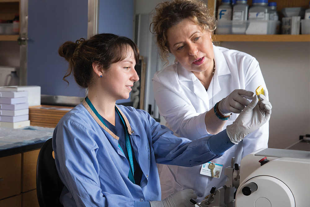  2 researchers look at slide of brain tissue