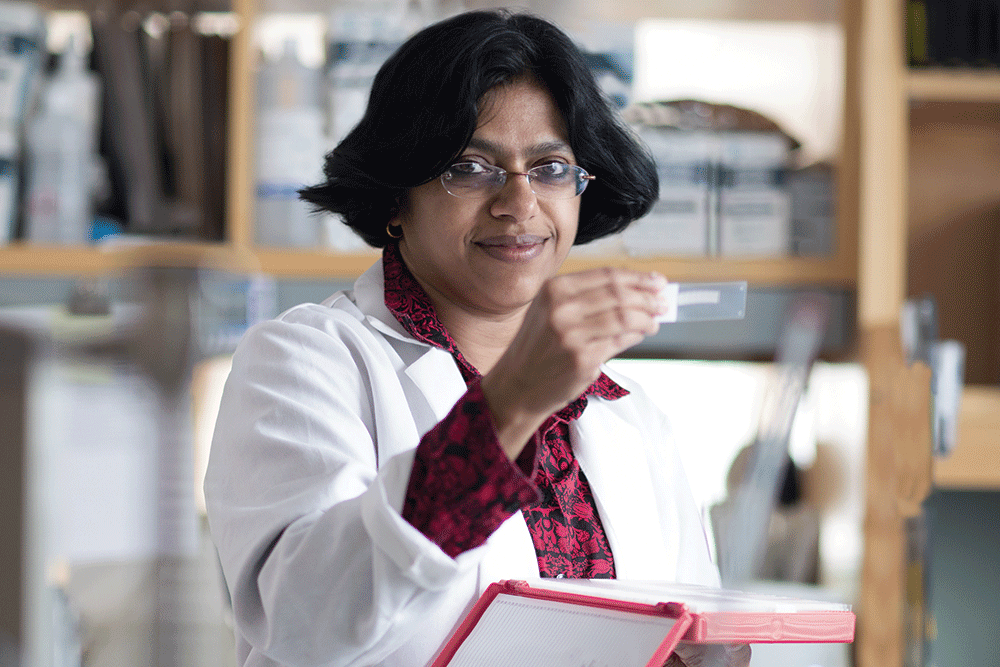 Anju Vasudevan, PhD