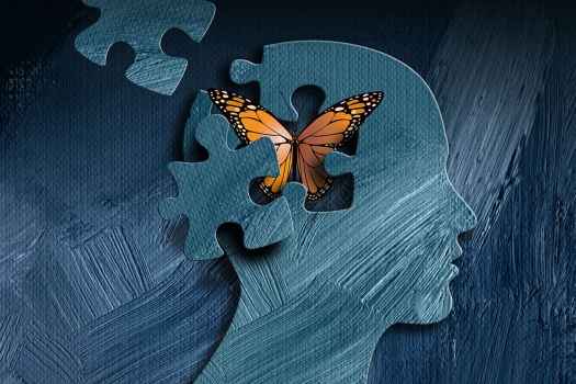 Graphic of head with puzzle and butterfly
