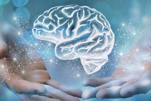 Illustration of brain in photograph of hands