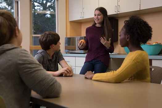 Teens in mental health treatment
