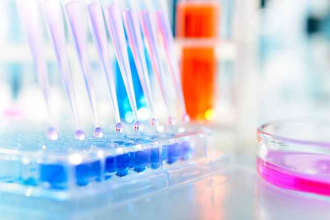 Vials in research lab