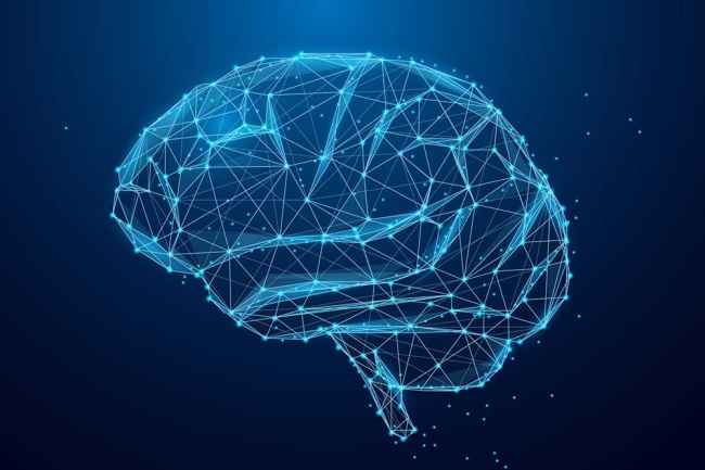 Graphic of brain wiring