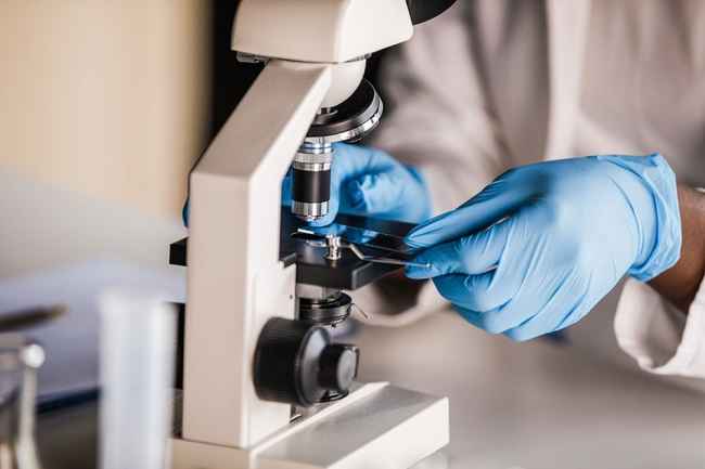 Scientist holds slide on microscope