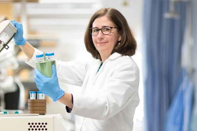 Dr. Elena Chartoff