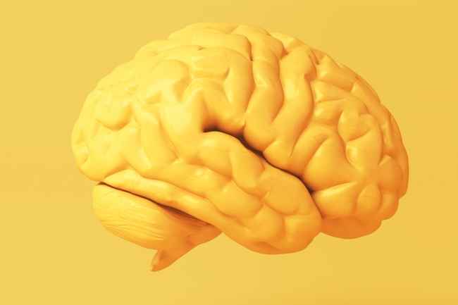 Three dimensional illustration of a yellow brain on a yellow background