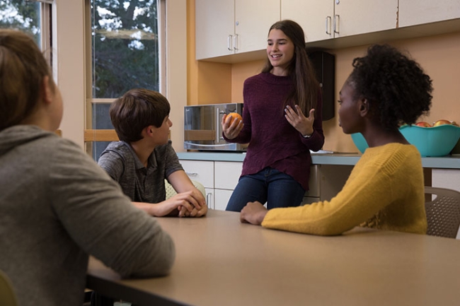 Teens in mental health treatment