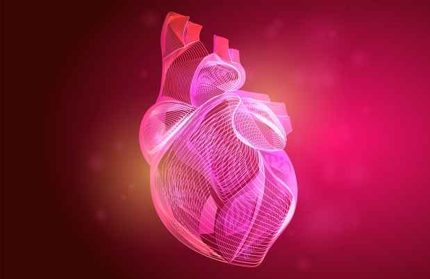 Graphic illustration of a human heart on magenta background
