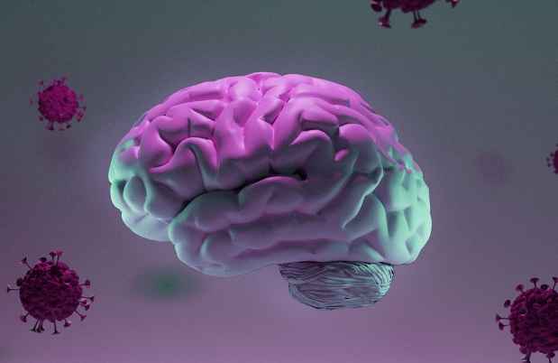 Image graphic of a brain surrounded by Covid virus