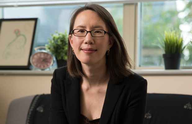 Dr. Ann K. Shinn