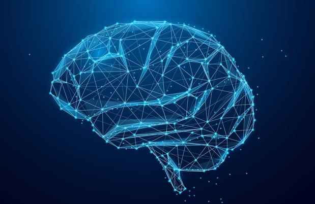 Graphic of brain wiring
