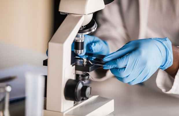 Scientist holds slide on microscope