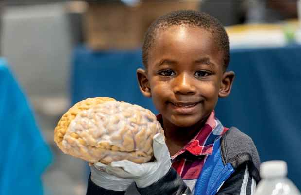 A child holding a brain