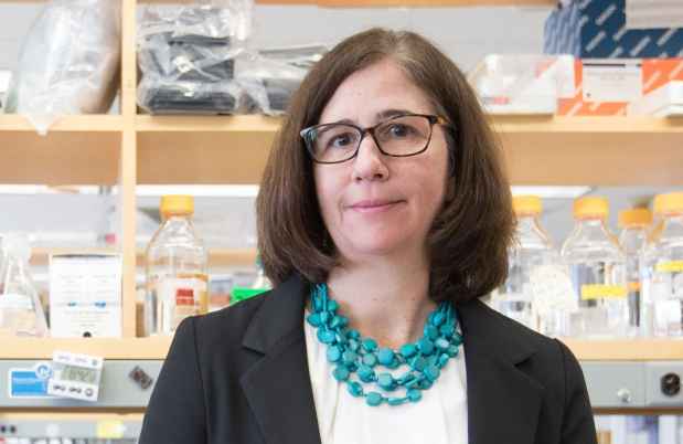 Dr. Elena Chartoff