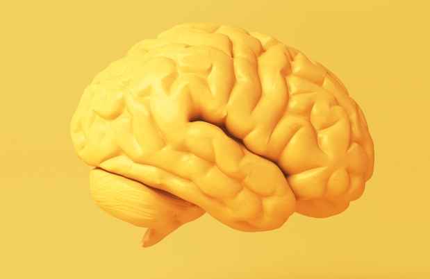 Three dimensional illustration of a yellow brain on a yellow background