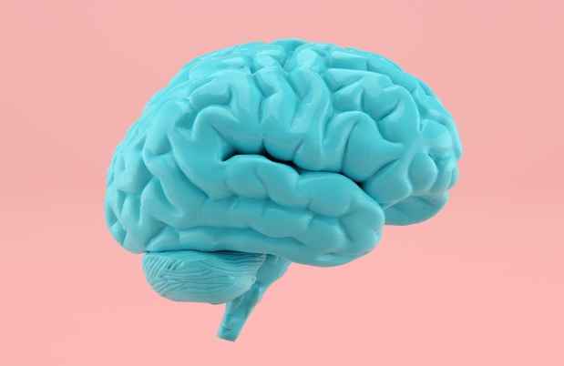 Illustration of a blue brain on a pink background