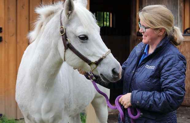 White horse with blonde woman at stable