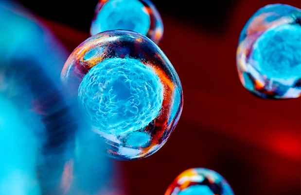 Stock illustration of stem cells