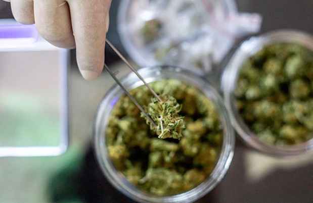 Stock image of medical cannabis