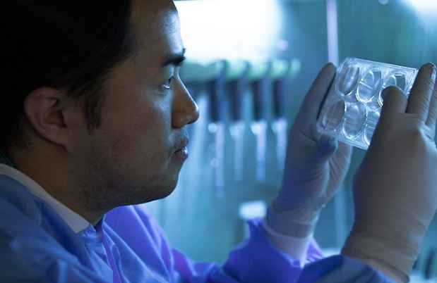 Researcher looks at cells