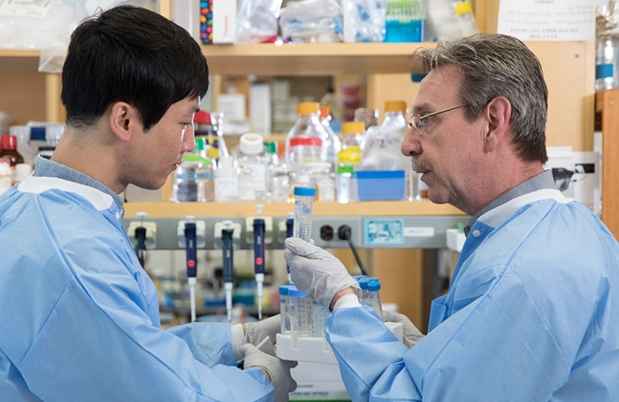 Researchers in Dr. Kim’s lab