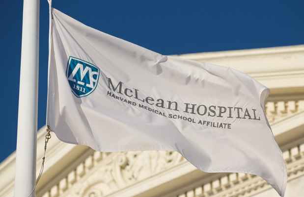 McLean flag