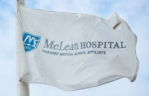 McLean flag