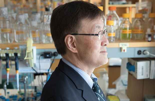 Dr. Kwang-Soo Kim in his lab