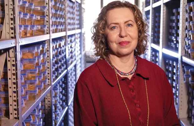 Sabina Berretta, MD