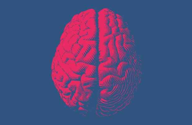 Graphic of a pink brain on a navy blue background.