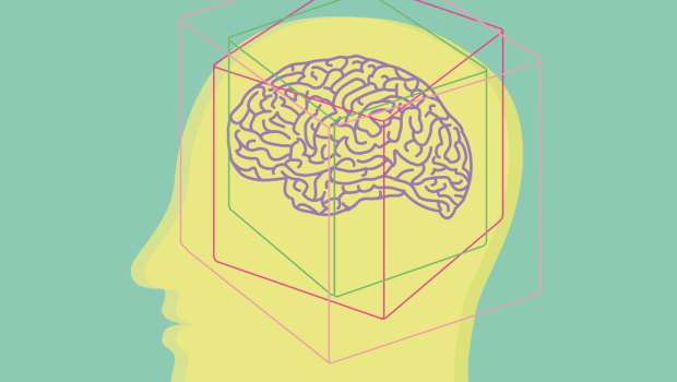 Illustration of a profile with its brain highlighted and surrounded by abstract boxes